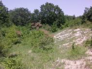 Залісся з panoramio.com