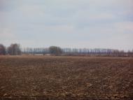 Краснопілка з panoramio.com