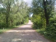 Тишківка з panoramio.com