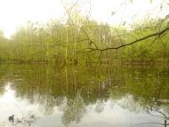 Лабурівка з panoramio.com