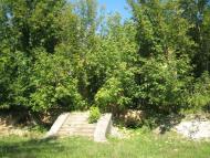 Новофастів з panoramio.com