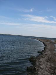 Пшонянове з panoramio.com
