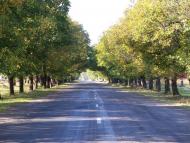 Монастирець з panoramio.com