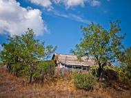 Кам'янка з panoramio.com