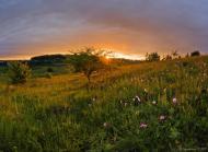 Мишковичі з panoramio.com