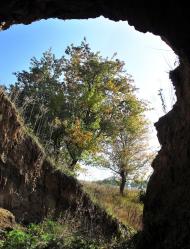 Сурське з panoramio.com