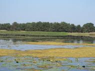 Хабарище з panoramio.com