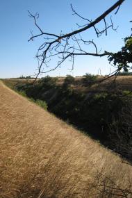 Білоріченський з panoramio.com