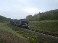 Буйволівці з panoramio.com