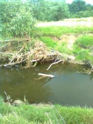 Копанки з panoramio.com