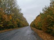 Бережне з panoramio.com