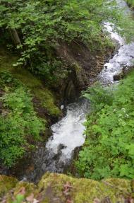 Ластівка з panoramio.com