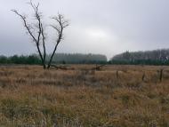 Новотроїцьке з panoramio.com