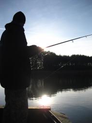 Облітки з panoramio.com