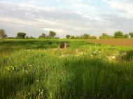 Іванівка з panoramio.com