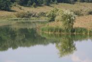Грабовське з panoramio.com - Грабовское