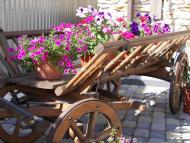 Корнин з panoramio.com