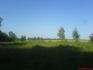 Давидів з panoramio.com