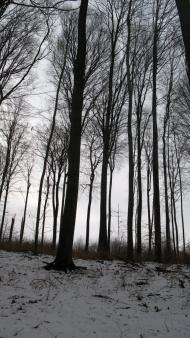 Ворочово з panoramio.com - Ворочево