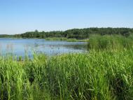 Дернаки з panoramio.com