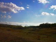 Ароматне з panoramio.com