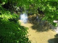 Тінисте з panoramio.com