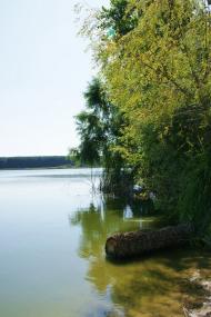 Кожухівка з panoramio.com