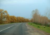 Красна Коса з panoramio.com