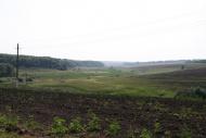 Грабовське з panoramio.com - Грабовское