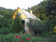 Вишневе з panoramio.com