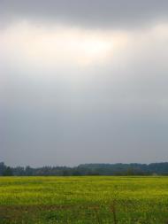 Рославичі з panoramio.com