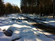 Макалевичі з panoramio.com