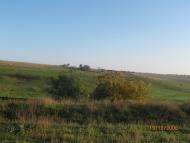 Вакулівка з panoramio.com