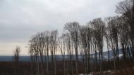 Ворочово з panoramio.com - Ворочево