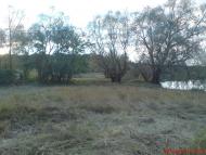 Змійове з panoramio.com