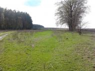Долина з panoramio.com