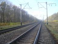 Рідкодуби з panoramio.com