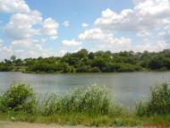 Шевченко з panoramio.com