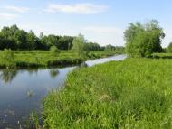 Вирівка з panoramio.com