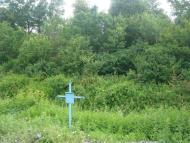 Городище з panoramio.com