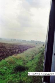 Пацьковичі з panoramio.com