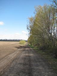 Буринь з panoramio.com