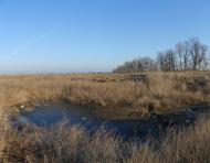 Меліоративне з panoramio.com - Мелиоративное