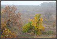 Петропавлівка з panoramio.com