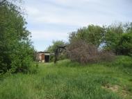 Северинівка