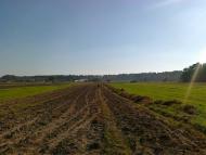 Новий Витків з panoramio.com