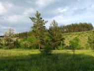 Біленьке з panoramio.com