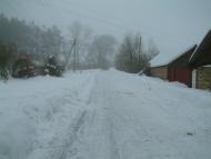 Рижики з panoramio.com