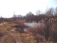 Андріївка з panoramio.com