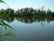 Пересадівка з panoramio.com